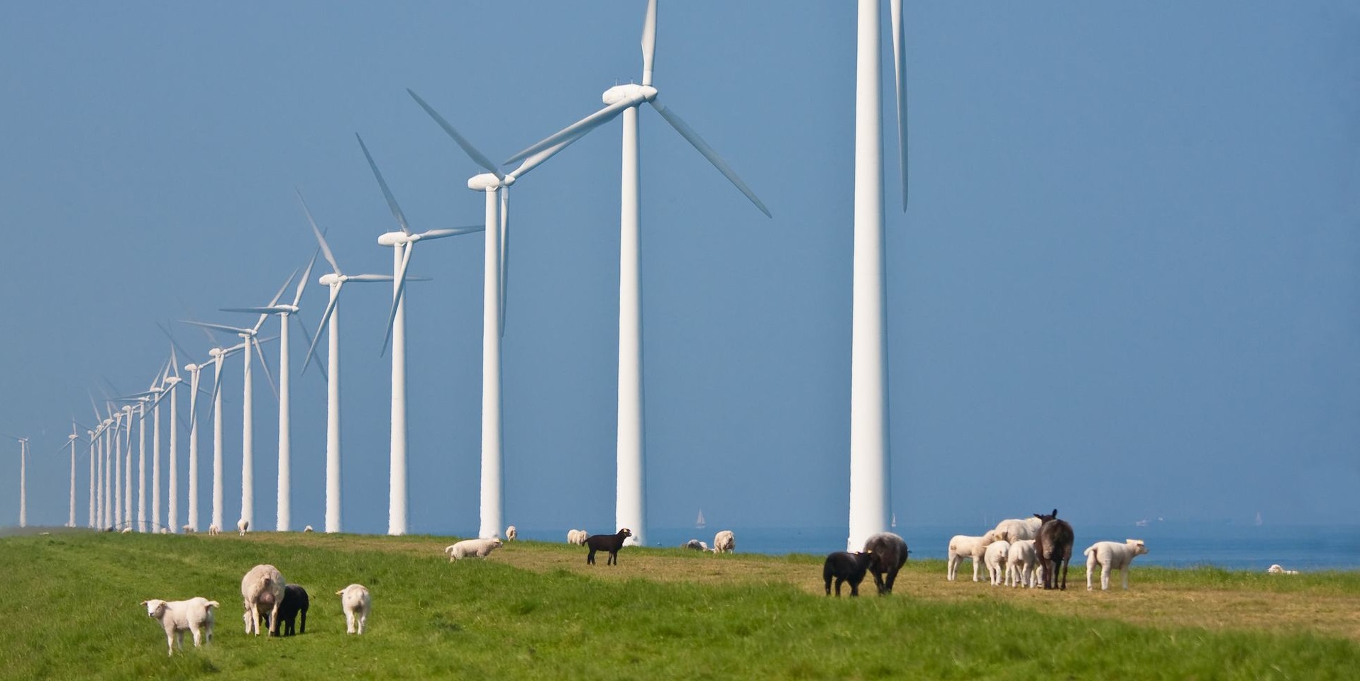 Wind op Land is essentieel onderdeel van de energiemix - NVDE
